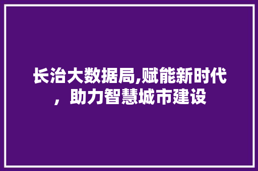 长治大数据局,赋能新时代，助力智慧城市建设