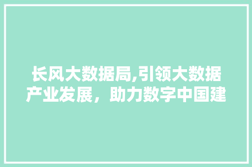 长风大数据局,引领大数据产业发展，助力数字中国建设 小程序开发