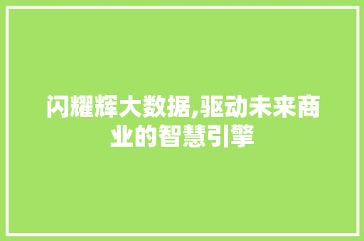闪耀辉大数据,驱动未来商业的智慧引擎