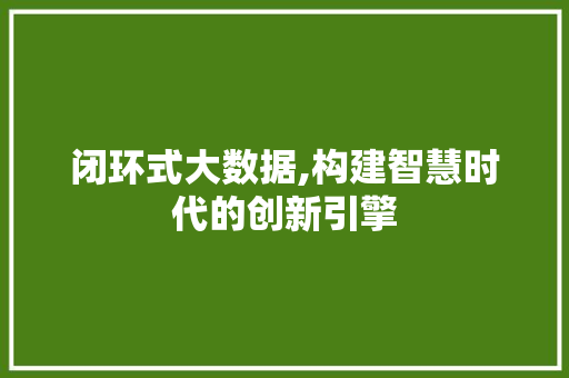 闭环式大数据,构建智慧时代的创新引擎 头条优化