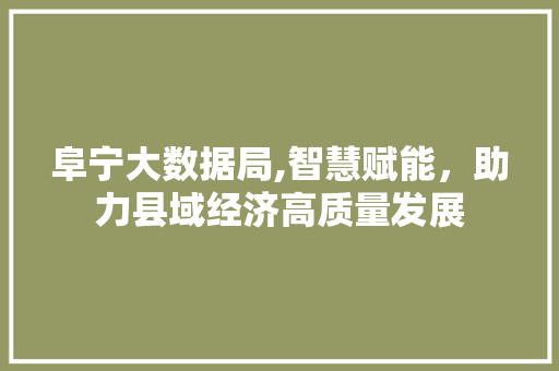 阜宁大数据局,智慧赋能，助力县域经济高质量发展