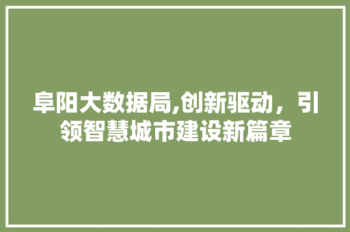 阜阳大数据局,创新驱动，引领智慧城市建设新篇章 seo技术