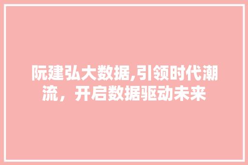 阮建弘大数据,引领时代潮流，开启数据驱动未来