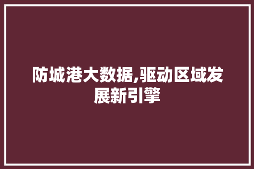 防城港大数据,驱动区域发展新引擎