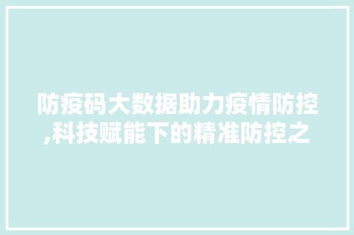 防疫码大数据助力疫情防控,科技赋能下的精准防控之路 英文谷歌算法