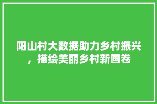 阳山村大数据助力乡村振兴，描绘美丽乡村新画卷 网站优化
