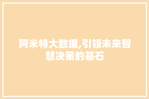 阿米特大数据,引领未来智慧决策的基石