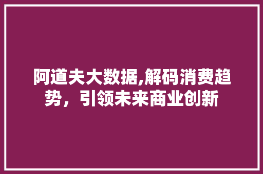 阿道夫大数据,解码消费趋势，引领未来商业创新 英文谷歌算法