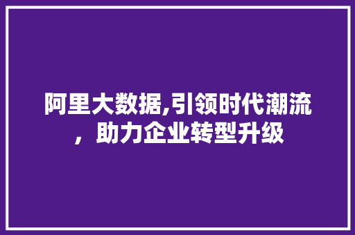 阿里大数据,引领时代潮流，助力企业转型升级