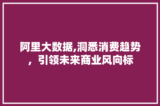 阿里大数据,洞悉消费趋势，引领未来商业风向标