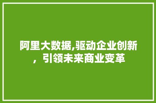 阿里大数据,驱动企业创新，引领未来商业变革