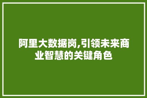 阿里大数据岗,引领未来商业智慧的关键角色