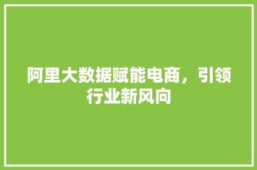 阿里大数据赋能电商，引领行业新风向