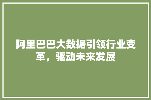 阿里巴巴大数据引领行业变革，驱动未来发展