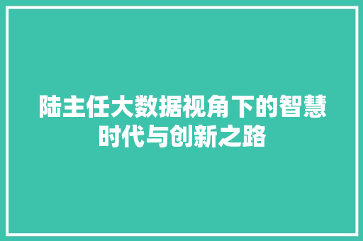 陆主任大数据视角下的智慧时代与创新之路