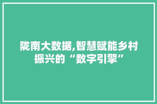 陇南大数据,智慧赋能乡村振兴的“数字引擎” 百度算法
