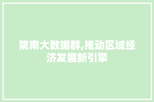 陇南大数据群,推动区域经济发展新引擎