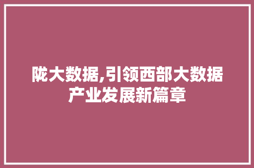 陇大数据,引领西部大数据产业发展新篇章