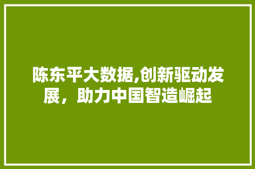 陈东平大数据,创新驱动发展，助力中国智造崛起 网站优化