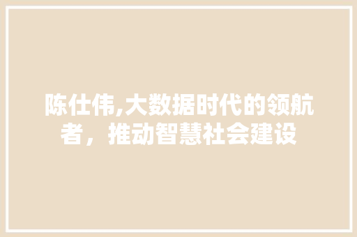 陈仕伟,大数据时代的领航者，推动智慧社会建设