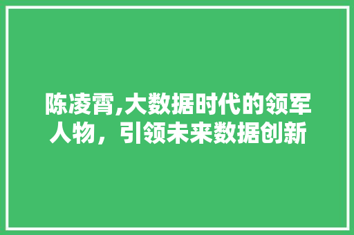 陈凌霄,大数据时代的领军人物，引领未来数据创新
