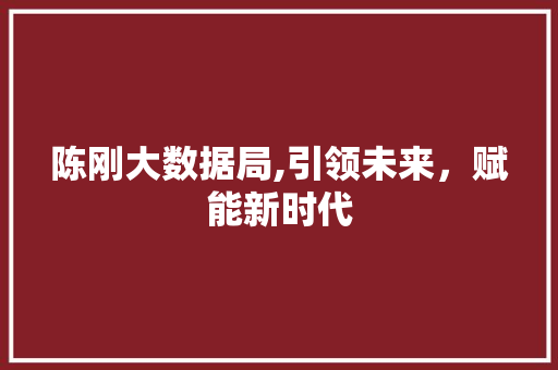 陈刚大数据局,引领未来，赋能新时代