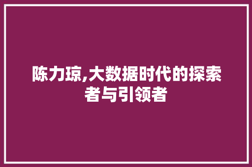 陈力琼,大数据时代的探索者与引领者 搜狗优化