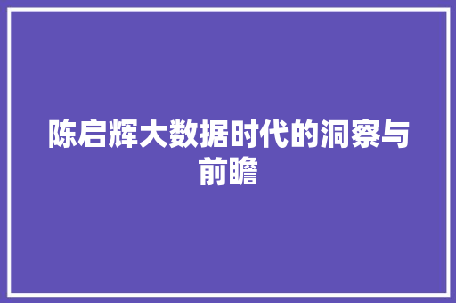 陈启辉大数据时代的洞察与前瞻