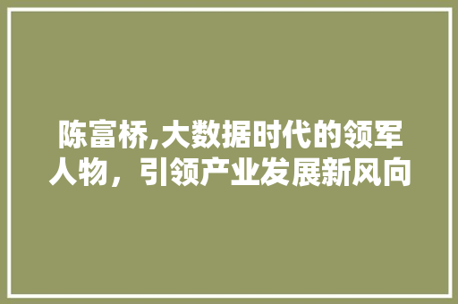 陈富桥,大数据时代的领军人物，引领产业发展新风向
