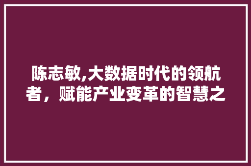 陈志敏,大数据时代的领航者，赋能产业变革的智慧之光 小程序开发
