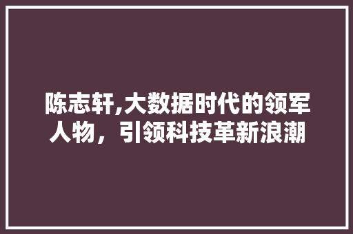 陈志轩,大数据时代的领军人物，引领科技革新浪潮 英文谷歌算法