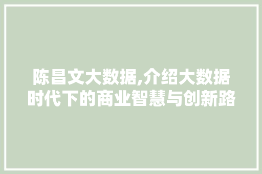 陈昌文大数据,介绍大数据时代下的商业智慧与创新路径