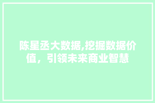 陈星丞大数据,挖掘数据价值，引领未来商业智慧 seo技术