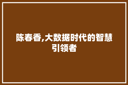 陈春香,大数据时代的智慧引领者