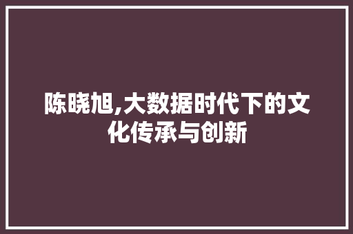 陈晓旭,大数据时代下的文化传承与创新