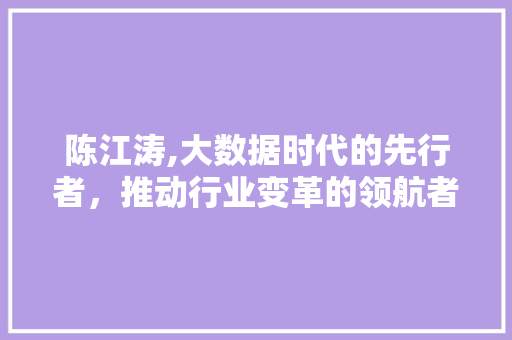 陈江涛,大数据时代的先行者，推动行业变革的领航者 360搜优化