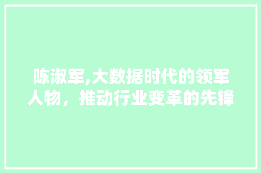 陈淑军,大数据时代的领军人物，推动行业变革的先锋 英文谷歌算法