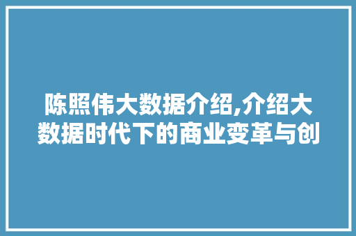 陈照伟大数据介绍,介绍大数据时代下的商业变革与创新