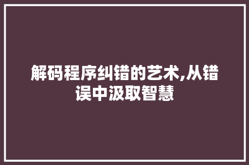 解码程序纠错的艺术,从错误中汲取智慧 搜狗优化