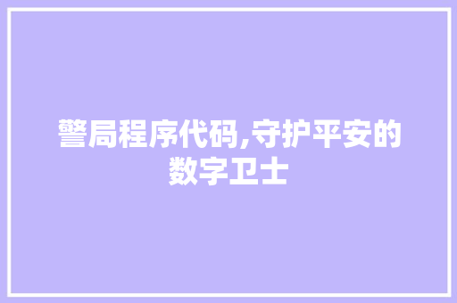 警局程序代码,守护平安的数字卫士 360搜优化
