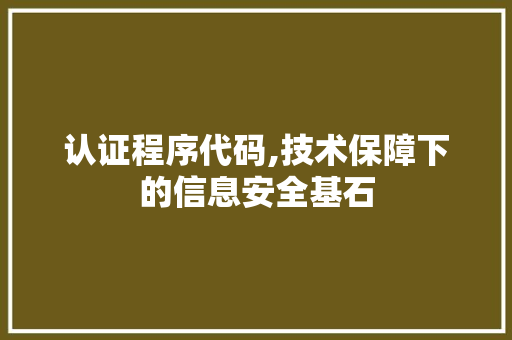 认证程序代码,技术保障下的信息安全基石