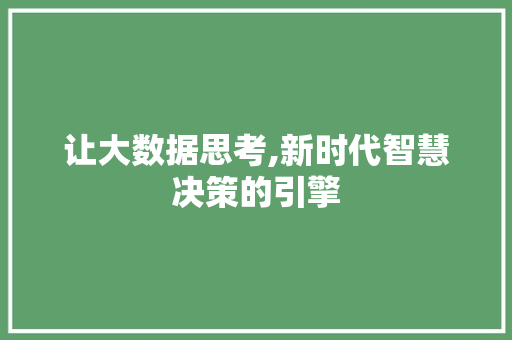 让大数据思考,新时代智慧决策的引擎