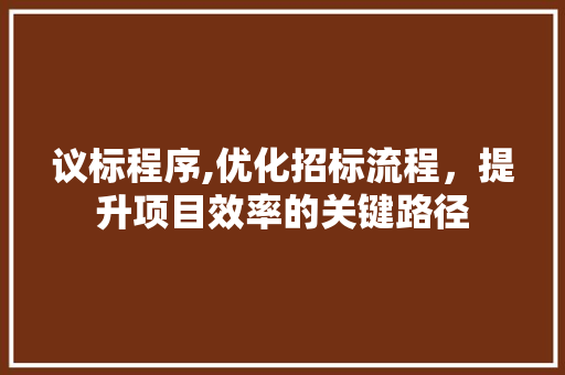 议标程序,优化招标流程，提升项目效率的关键路径