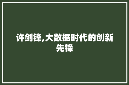 许剑锋,大数据时代的创新先锋 AI技术学习