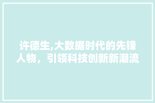 许德生,大数据时代的先锋人物，引领科技创新新潮流 英文谷歌算法
