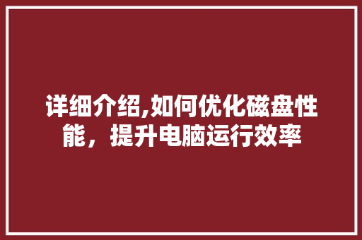 详细介绍,如何优化磁盘性能，提升电脑运行效率 网站开发