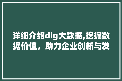 详细介绍dig大数据,挖掘数据价值，助力企业创新与发展