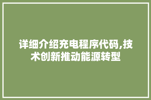 详细介绍充电程序代码,技术创新推动能源转型