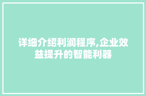 详细介绍利润程序,企业效益提升的智能利器
