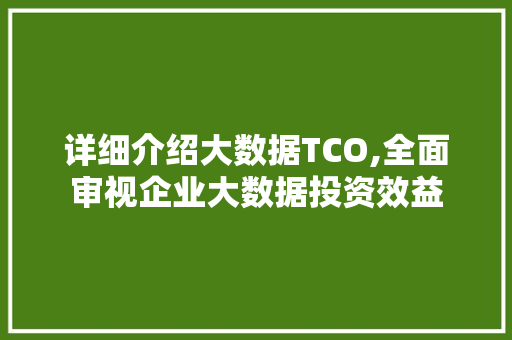 详细介绍大数据TCO,全面审视企业大数据投资效益